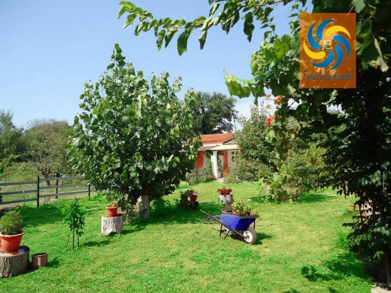 Errika Apartment Ipsos Ngoại thất bức ảnh